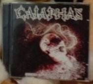 Scorn of the Aborted